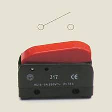 Microinterruptor V24